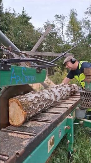 Sawmilling curly birch (Betula Pendula var. Carelica) #apusampo #woodworking #sawmill