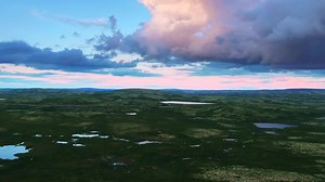 180K views · 514 reactions | The Buckeye is mildly toxic in its raw form, and lethal in its football form. Watch BTN Tailgate – where Big Ten fans start their Saturdays, live from Columbus this Saturday at 10 a.m. ET. | Big Ten Network | Facebook