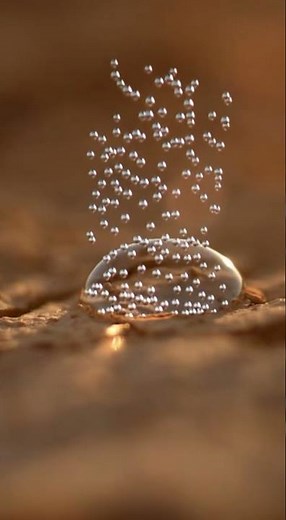 The "Rain Smell" Satisfier 🌧️Concept: What causes Petrichor (the smell after rain)