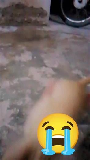 @ Zainab Nazeer27 (@.zainab.nazeer27)’s videos with original sound - Singer Raja Samoo