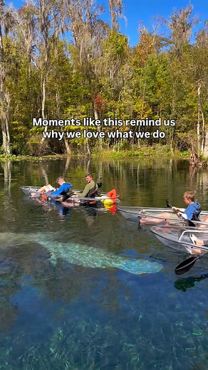 Bringing families (of all kinds) together is why we love what we do 😌 ##manateeseason #floridasprings #familyfun #adventures #explore #getupandgokayaking #clearkayaking | Get Up And Go Kayaking - Silver Springs