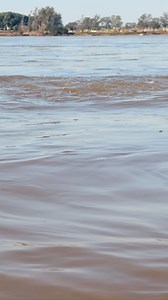 5.9K views · 10K reactions | Gigante de hierro.. Concordia por lejos el mejor pesquero del país. #pesca #dorado #rio #zonadepesca #turismoentrerios #guiasdepesca #turismo #pescaesportiva #pescadeportiva #carnada lugaresdepesca #mejorpesquero | Albornoz Martin | Facebook