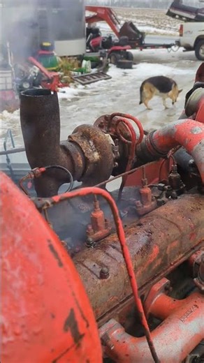 Why did I buy this? Case 1410 ( David Brown) knocks and smokes like a used car salesman.