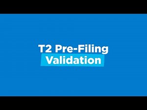 T2 Pre-Filing Validation