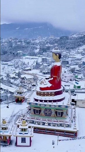 Best 10 Places To Visit In India In June -July Month #bestplace #summervacation #ValleyOfFlowers