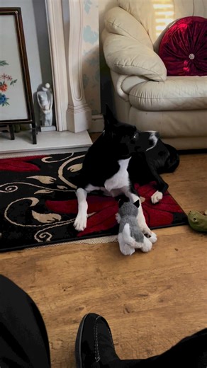 Barney watching Ghostbusters #ghostbusters | Stephen Kelleher