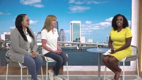 Volunteer Fair Expo takes place April 23