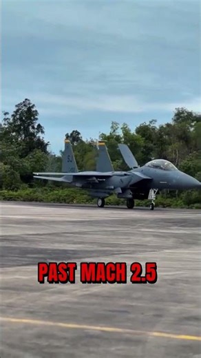 The Undefeated King of the Skies🔥 #facts #aviation #f15