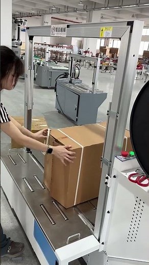 Automatic carton sealing and labeling machine that can automatically seal and label the carton.