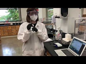 Experiment 2 Procedure
