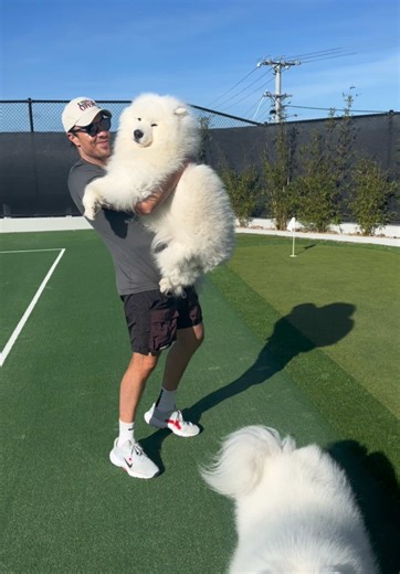 Discover Unique Squishy Toys for All Ages