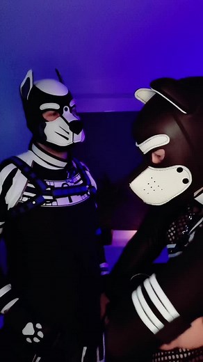 Gay Puppy Mask Fun Time with Pantstime!