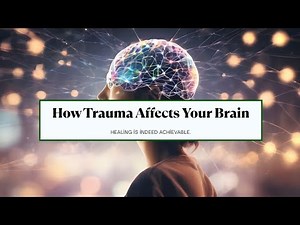 How Trauma Rewires Your Brain — And How to Heal It