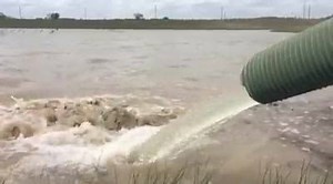 It's Bluegill time! Lakes across Texas are getting Bluegill Sunfish stocked in the coming weeks including the Willow Waterhole system in Houston. These bluegill will go on to produce a future population that will play an important role in the food chain and maybe new angler's first fish. | Inland Fisheries College Station-Houston District-Texas Parks and Wildlife