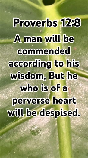 Proverbs 12:8 #Jesus #bible #life #proverbs #wisdom #christian #ecuador #life #verse #verseoftheday