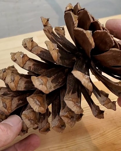 285K views · 778 reactions | Woodturning Large Pinecone Resin Art | DIY & Crafts | Facebook