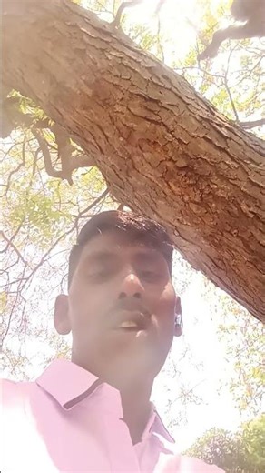 video banaa raha hun abhi file Manager double milega ♥️🌺🌸💕