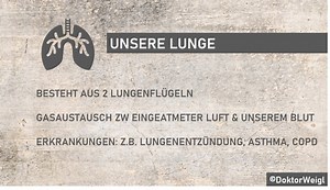 DoktorWeigl erklärt die Lunge – Aufbau, Aufgaben und Erkrankungen des menschlichen Atmungsorgans