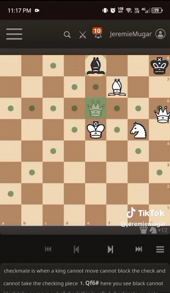 ILoveChess on TikTok