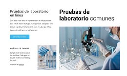 Pruebas de laboratorio habituales - Plantilla HTML por Nicepage