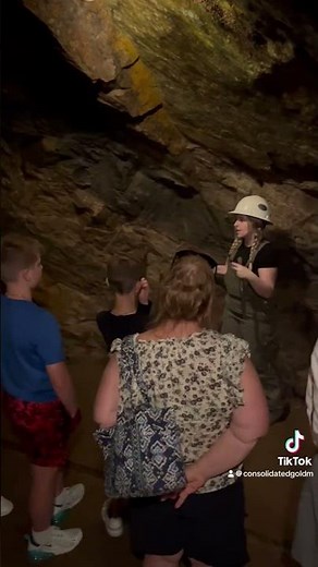 Gold Mine Tours, Dahlonega GA!