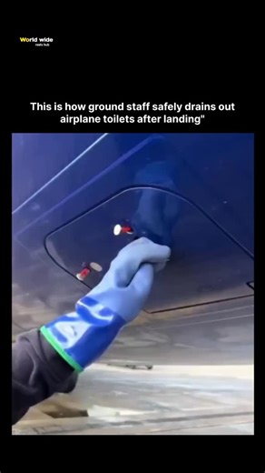𝙒𝙊𝙍𝙇𝘿 𝙒𝙄𝘿𝙀 on Instagram: "The Reel depicts the standard ground servicing procedure for aircraft lavatory waste tanks after landing. It shows a lavatory service truck positioned beneath the airplane, with the green exterior service panel opened to reveal the waste drain port and associated valves. A hose connects the aircraft's holding tank to the truck, allowing vacuum transfer of the waste (mixed with disinfecting fluid) into the truck's storage tank for disposal at the airport's desig