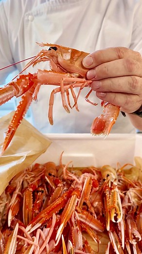Mielcke & Hurtigkarl on Instagram: "Easy way to peel a langoustine ✨ Here is our go-to method for peeling langoustine before cooking. Start by giving them a quick dip in boiling hot water, then plunge them into an ice bath to halt the cooking process. This technique makes it a breeze to crack open the shells and squeeze out the delicious langoustine tail. #mielckehurtigkarl #frederiksberg #frederiksberghave #copenhagen #chefmode #foodie #restaurant #langoustine #lobster #peeling #deshell #shelli