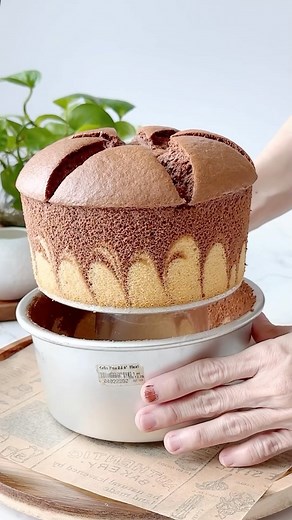 Chiew See on Instagram: "～Hurricane Slit Chiffon～ Today let’s try varying the slit chiffon by creating hurricane pattern on the side. Chiffon is always my family favourite cake due to its extremely light and fluffy texture. With the slitting on top and two tone hurricane design, it simple makes the chiffon cake a level up. 🔺Recipe🔺 Yolk batter 3 egg yolks 45g milk 30g oil (corn oil) 40g low protein flour (cake flour) 5g low protein flour 5g cocoa powder Meringue 3 egg whites 45g sugar 4g lemon
