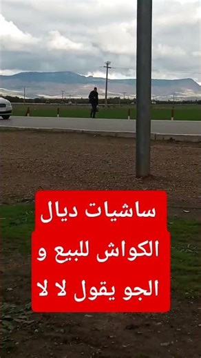 الجو مكهرب و البيع ثقيل