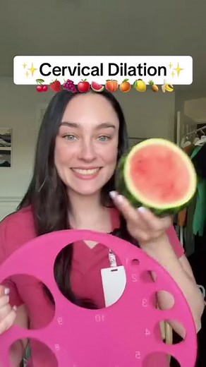 Cervical dilation visual using fruit! From a labour & delivery nurse 🤱🤰🍎🍊🫐 IB: Anna the Nurse #pregnant #pregnantlife #postpartum #newmomtips #newmom #labouranddelivery #labourandbirth #birth #cervicaldilation #doula #labouranddeliverynurse #epidural #newborn #midwife #csection #fruit #momtobe #dilationposition | Nurse Sydney