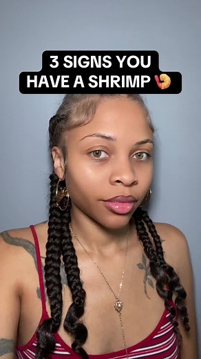 3 Signs You Have a Shrimp as a Pet