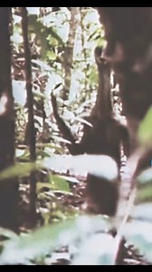 #humanoid #paranormal #UAP #ufosighting #leaked #aliens #UFO #Disclosure #extraterrestrial | Alien World