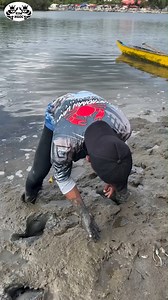 1.2M views · 3.7K reactions | 1 loại đặc sản #reels #xuhuong #thuysan | Thủy Sản | Facebook