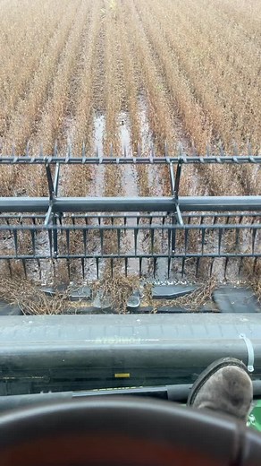 #moist #water #harvest #drought #thinkhappythoughts