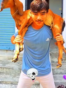 Introducing the "VitalWear SmartBand," a next-generation wearable gadget