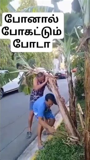 போனால் போகட்டும் போடா 😂 DMK - ADMK 🔥 TVK #shorts #tnelection2026 #tvk #tvkvijay #thalapathyvijay #yt