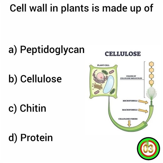 Most Important GK Questions and Answers #biology #biologyquiz