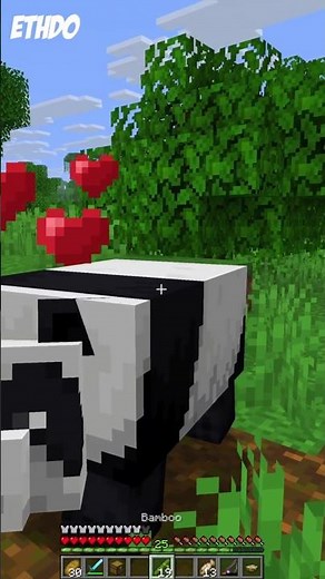 Breed Pandas in Minecraft