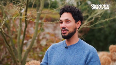 Prune your hydrangeas now for bigger and better blooms