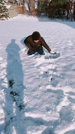 Making Snow Angels in a Winter Wonderland