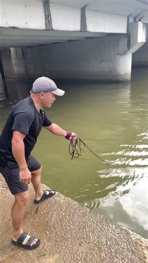 Flying disc net casting and catching fish | China Fish Hunter Ep143