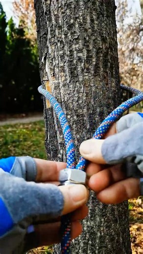 Blue Steel Logic! 🔵🔩 The unshakeable nut-lock for securing lines to a tree.