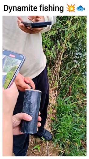 8.8K views · 92 reactions | Dynamite fishing  wait for the result  | Rohan | Facebook