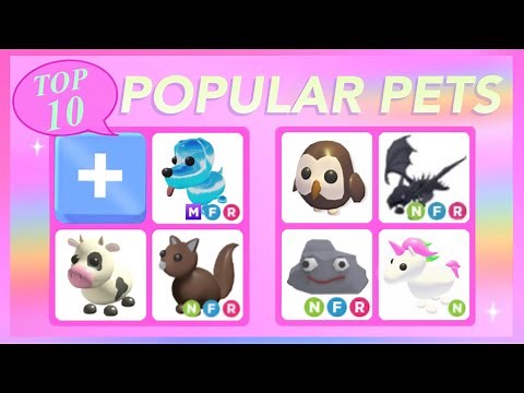 TOP 10 most POPULAR Pets in Adopt Me!