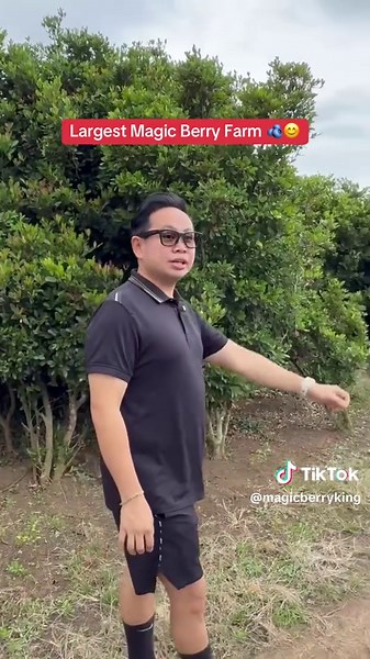 Explore Asia's Largest Magic Berry Farm