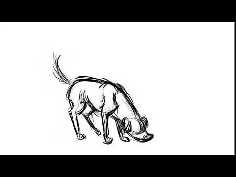 dog gives birth animation