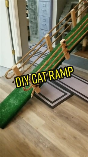 DIY Cat Ramp: Easy Instructions for Rescue Cats