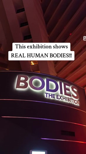 Exhibit Featuring Real Human Bodies in Las Vegas