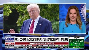 Democrats using the courts to stymie Trump's agenda is a 'massive issue': Mollie Hemingway