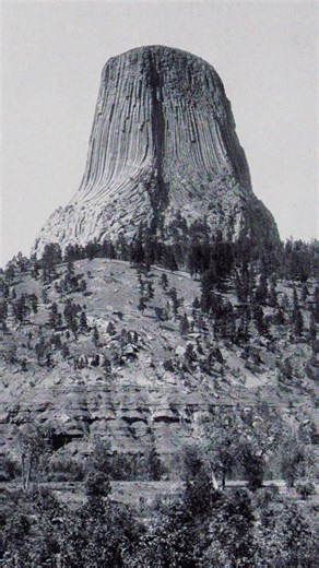 What if devils tower isn’t a mountain but a giant ancient tree? #ancienthistory #mystery